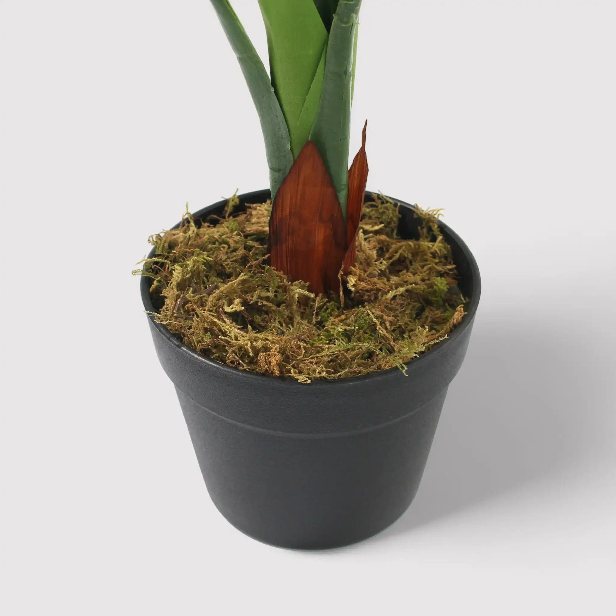 Hieki - Pianta di pothos artificiale con vaso - Image 4