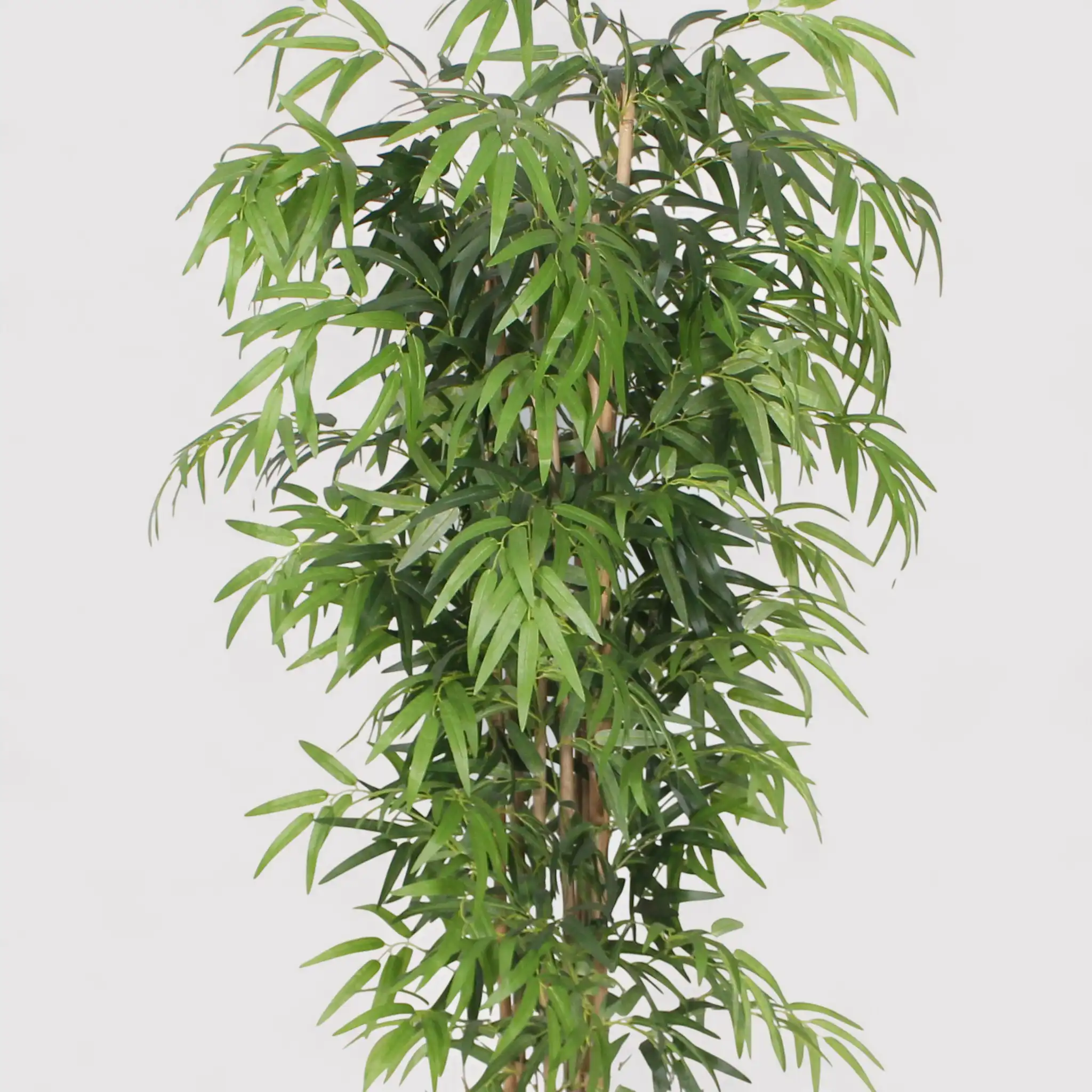 Kauda - Pianta decorativa di bambù con foglie artificiali H 180 cm - Image 3