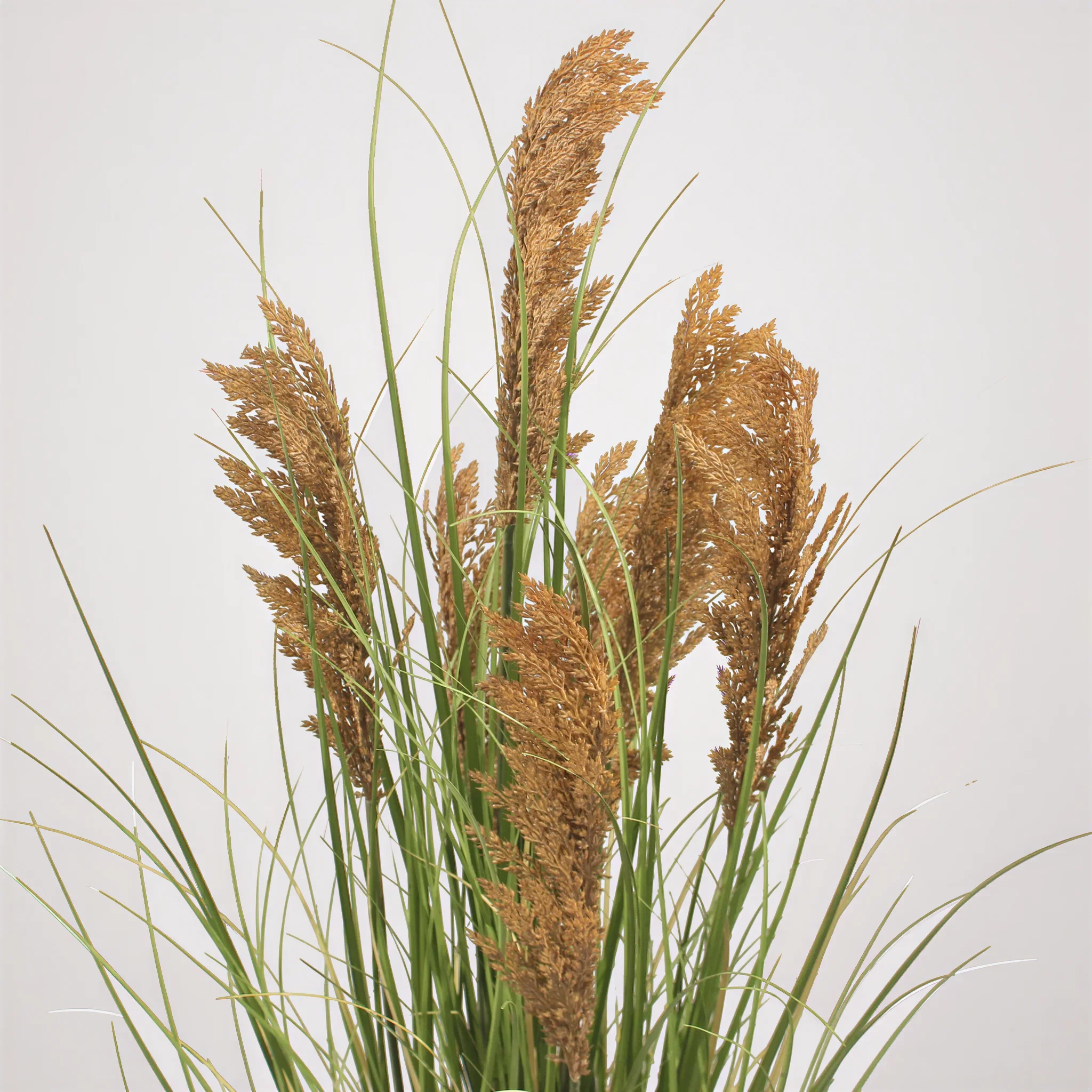 Ravok - Pianta artificiale di Erba della Pampas Cortaderia colore verde marrone - Image 3