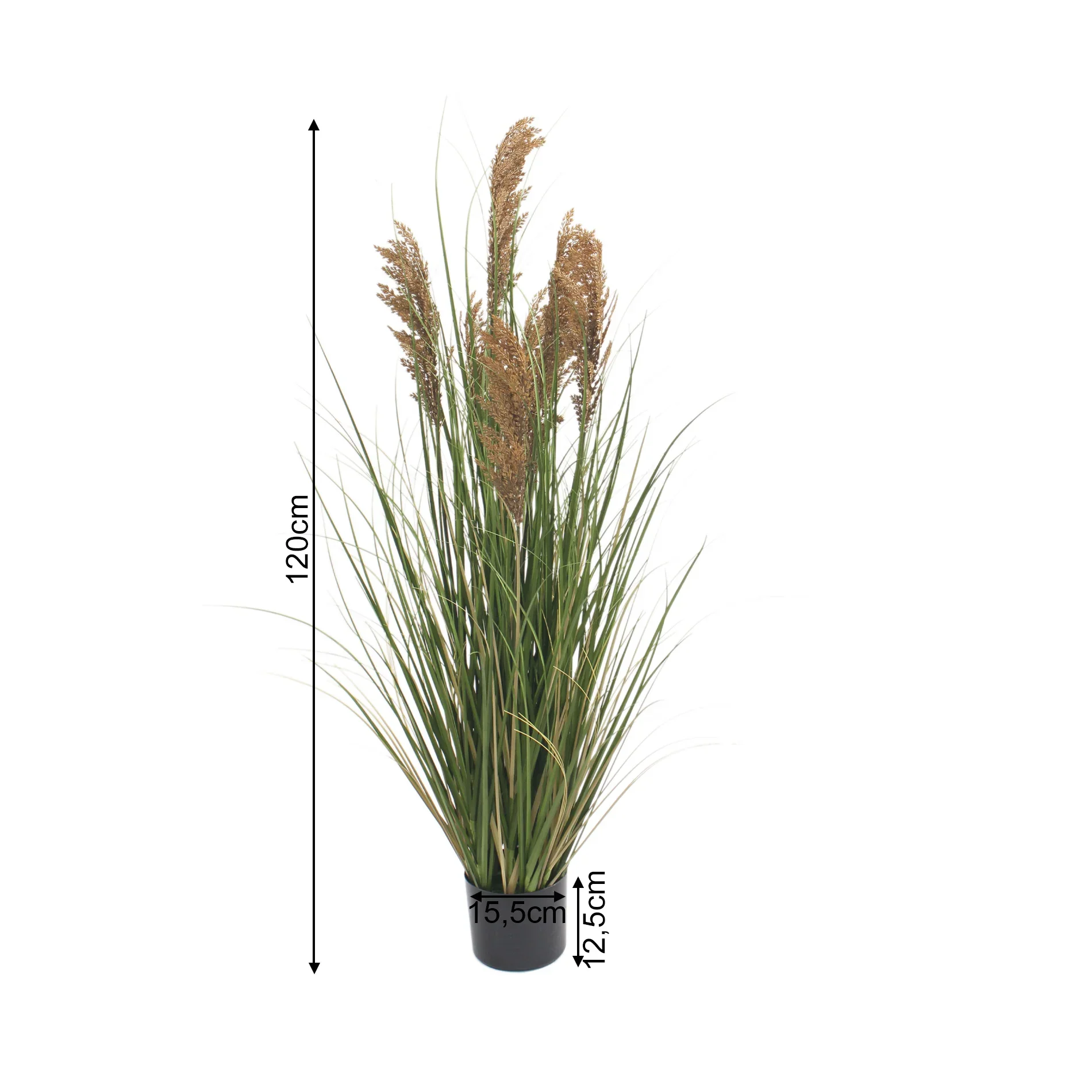 Ravok - Pianta artificiale di Erba della Pampas Cortaderia colore verde marrone - Image 5