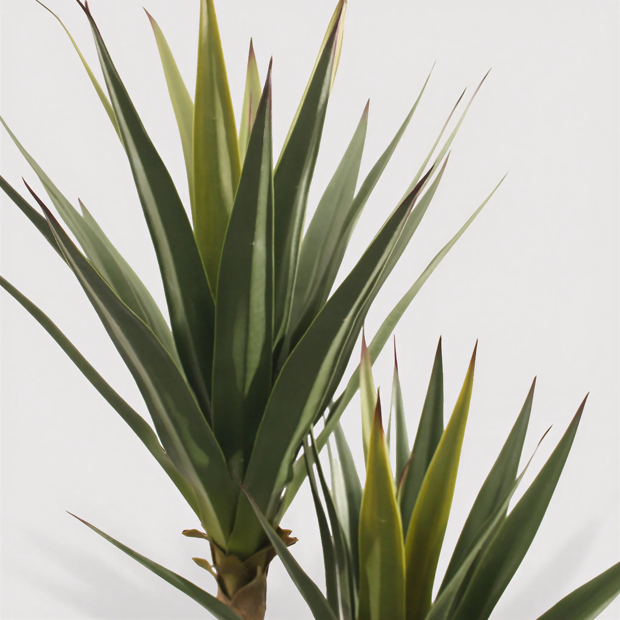 Talek - Pianta artificiale di Yucca colore verde marrone - Image 3