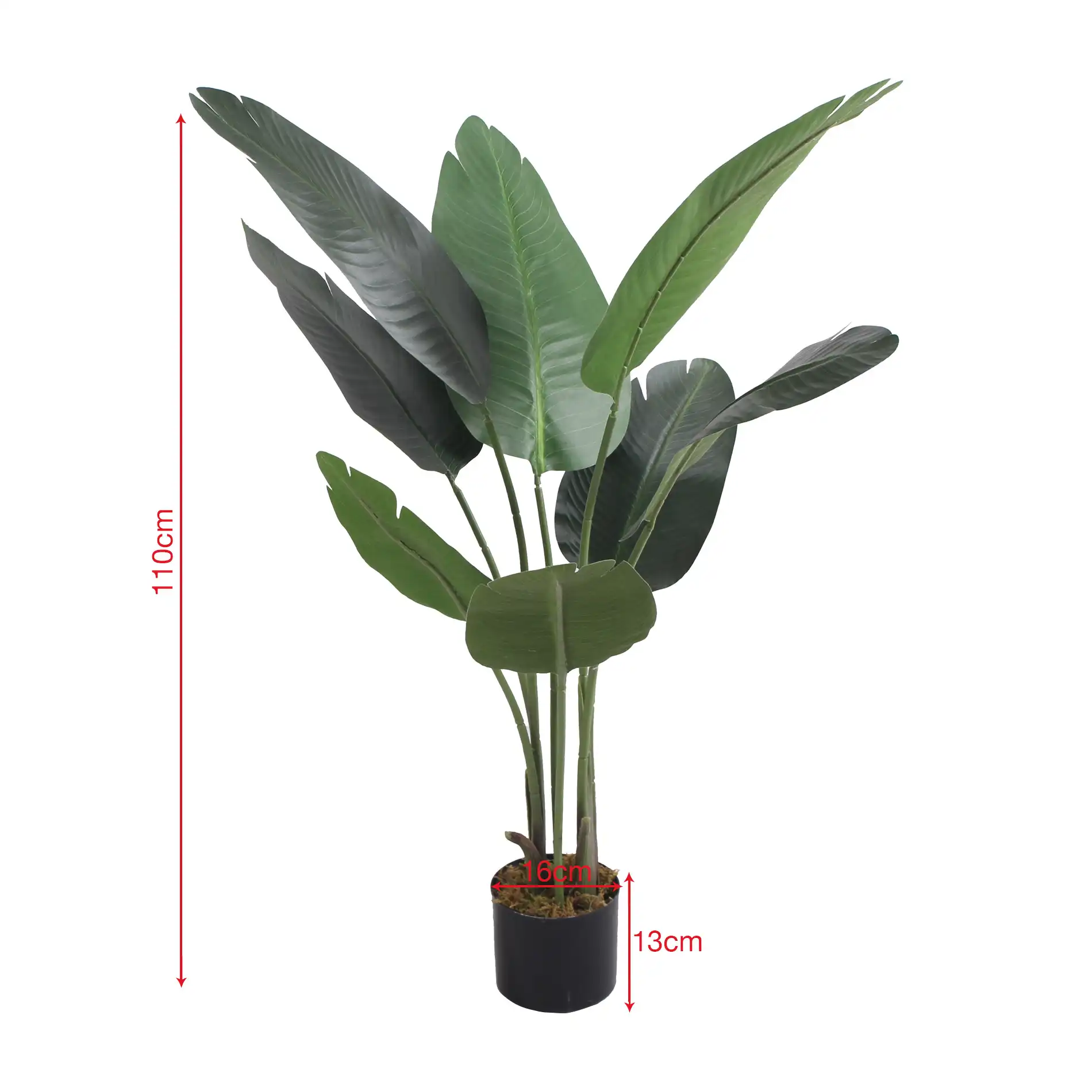 Taznit - Banano artificiale ornamentale per interno o esterno - Image 5