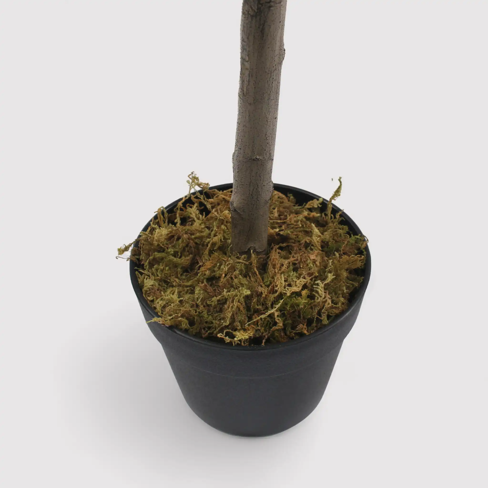 Thoka - Piccola pianta artificiale di ulivo con vaso H 120 cm - Image 4