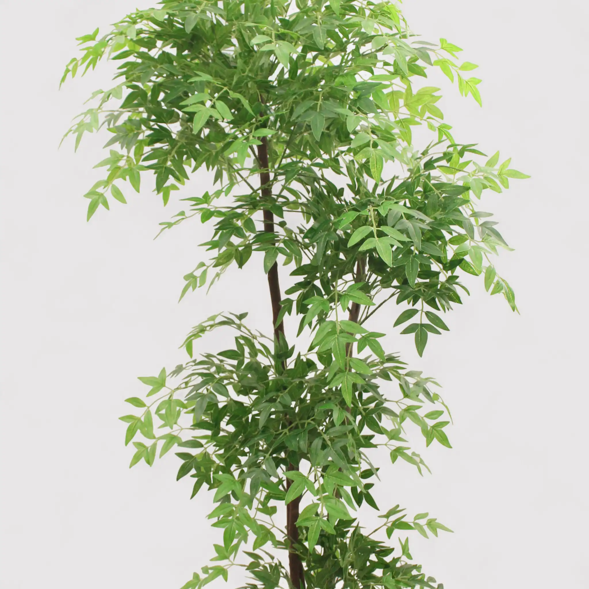 Zamrud - Nandina artificiale con vaso per casa o esterno - Image 3